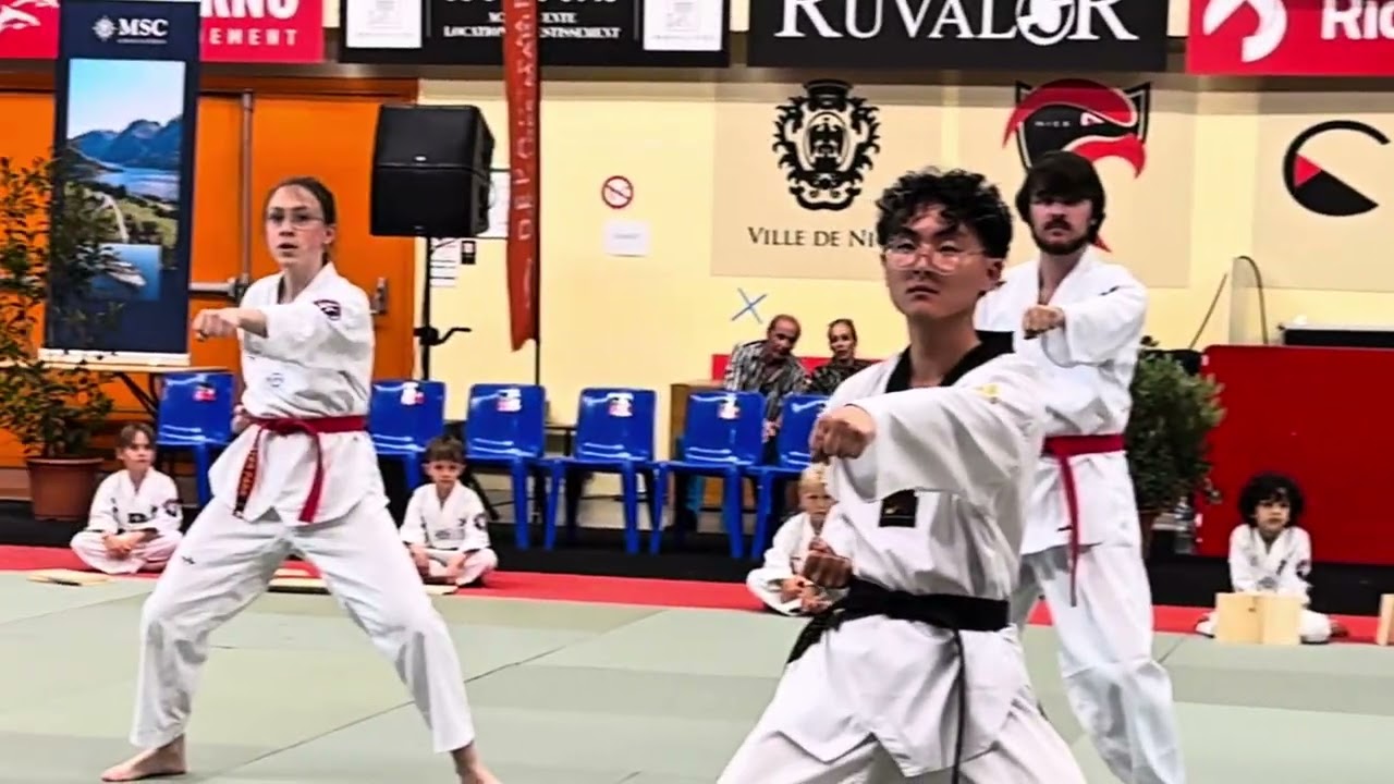 Démonstration à Nice #taekwondo #martialarts #masterpark #parkmoonsoo