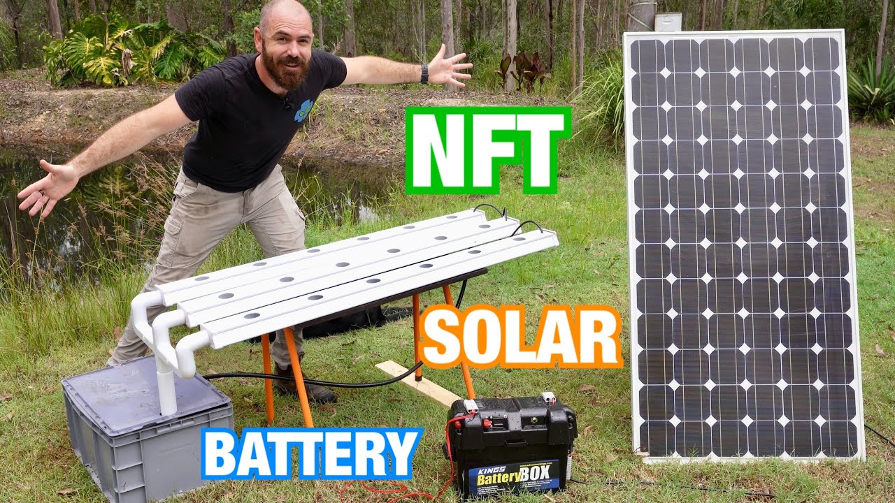 How to Build an Off Grid Hydroponic System