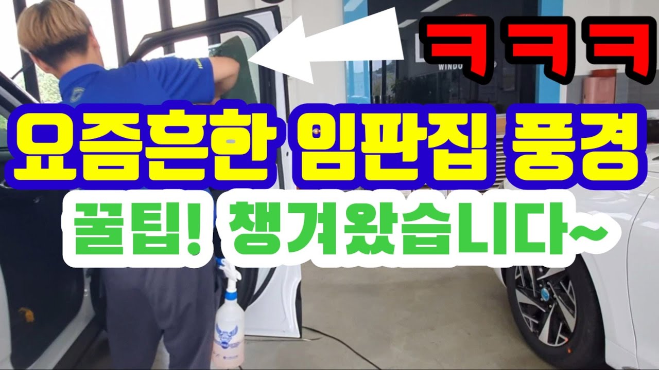 요즘흔한 틴팅샵(임판샵)풍경(임판집에서 꿀팁 챙겨왔습니다^^)