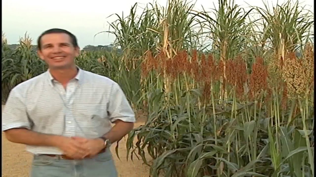 Fertilizantes. Producción y acción sobre los cultivos