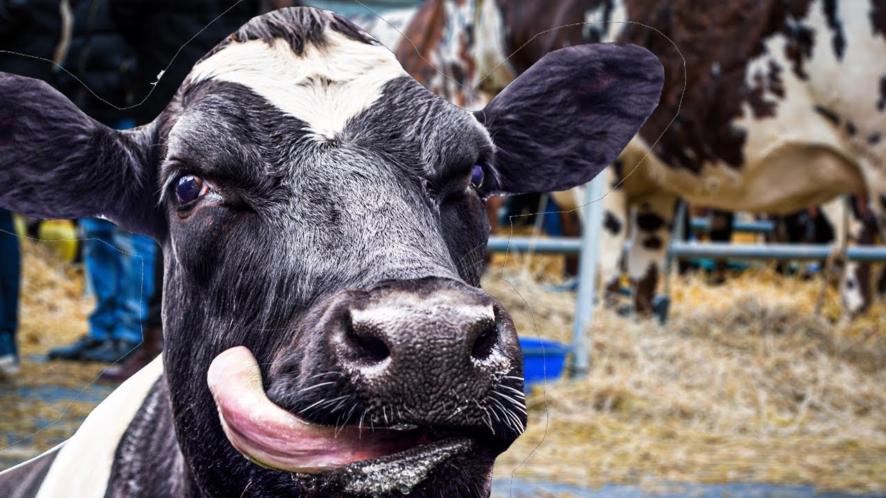 Is A HUGE Farmers Strike Looming?