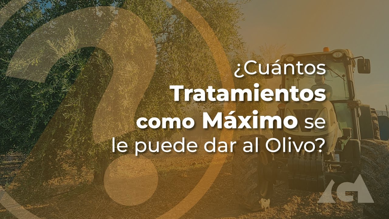 &iquest;Cu&aacute;ntos tratamientos como m&aacute;ximo se le puede dar al olivo?