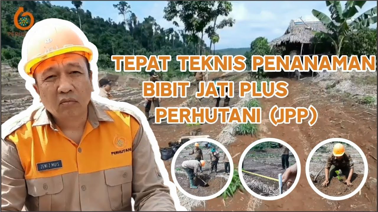 TUTORIAL PENANAMAN BIBIT JATI