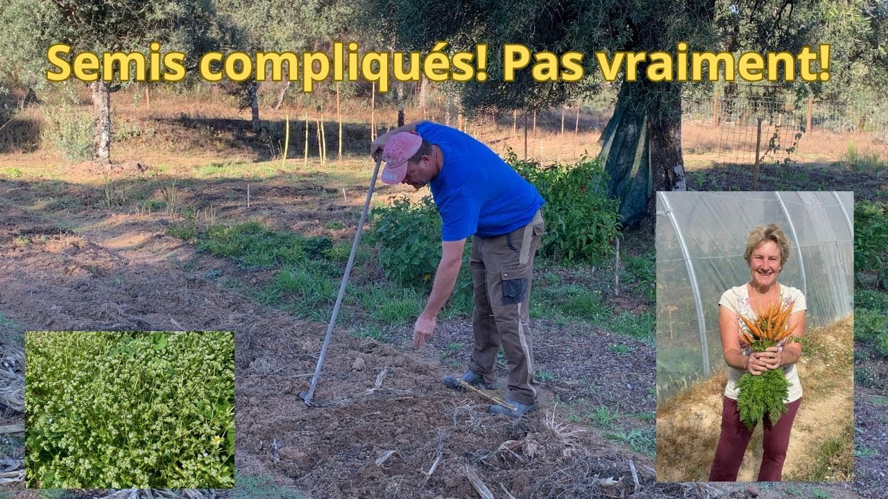 Semis compliqués! Pas vraiment!