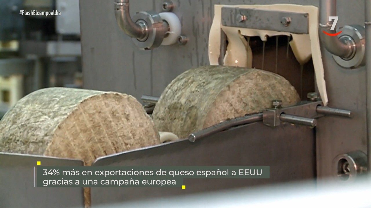 Flash El campo al día (19/03/2026): 34% más de exportaciones de queso español en EEUU por un campaña