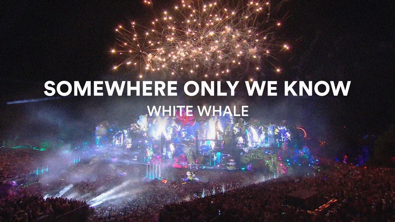 White Whale - Somewhere Only We Know (Music Video)