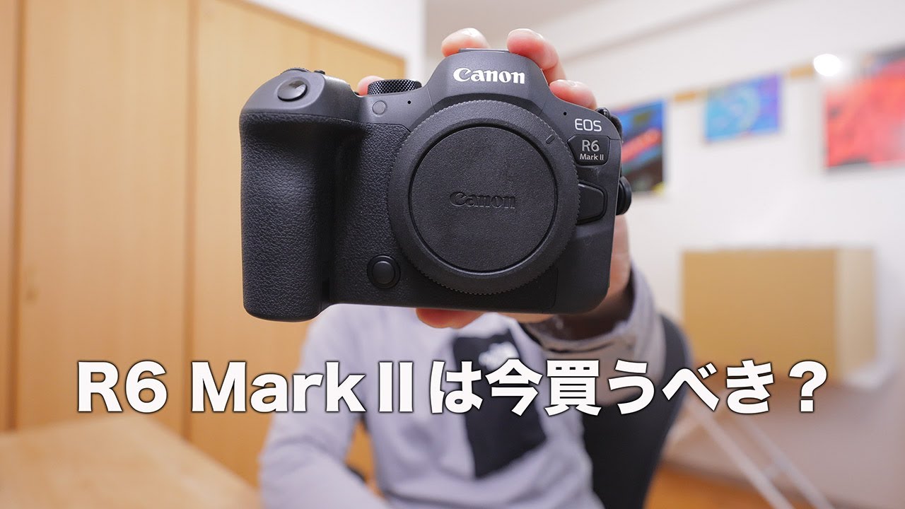 EOS R6 MarkⅡを今買うべき理由を解説します