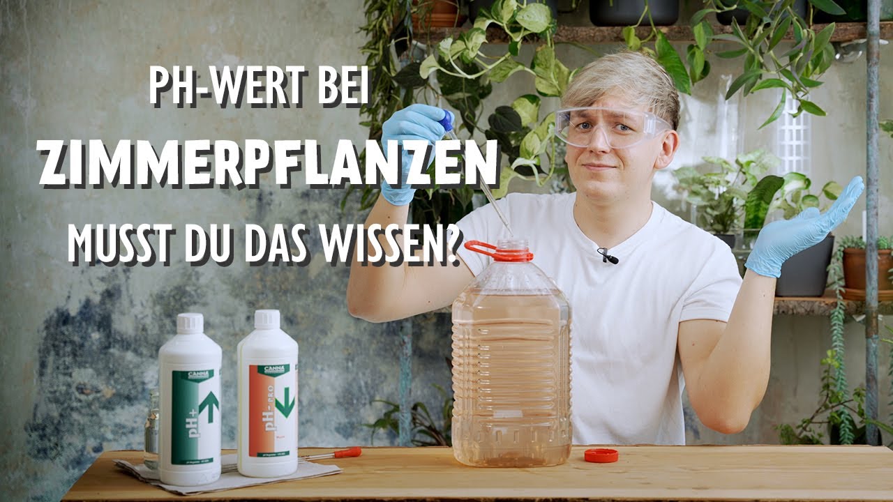 Diese 9 Dinge MUSST du über den pH-Wert bei Zimmerpflanzen wissen 🧐