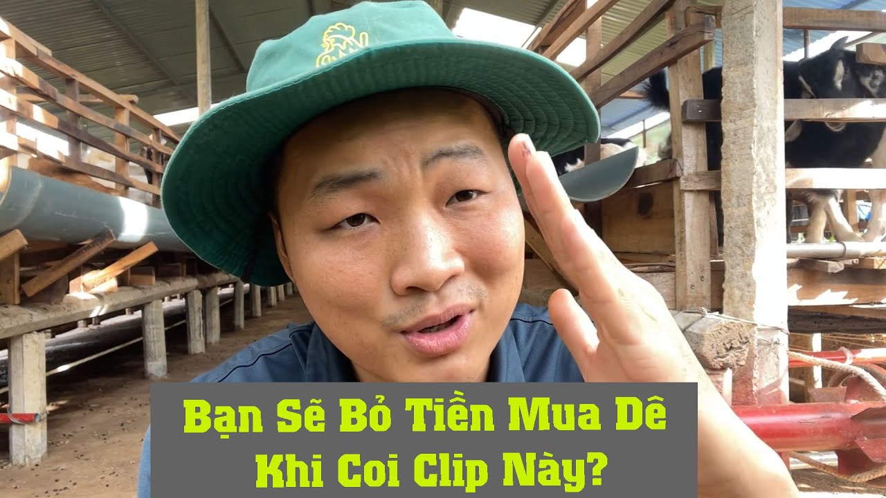 Bao Nhiêu Tiền Để Có 1 Trang Trại Dê