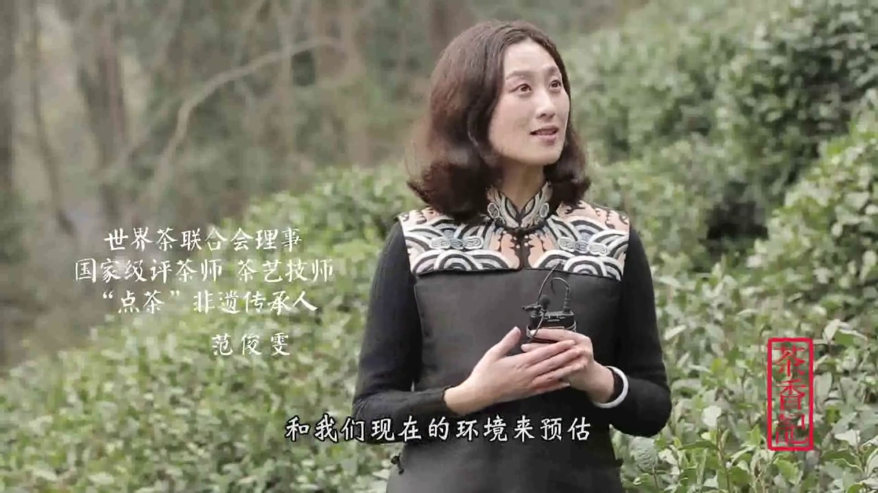 [茶香记·生活家] 一口春茶知春意，老茶客尝鲜首选