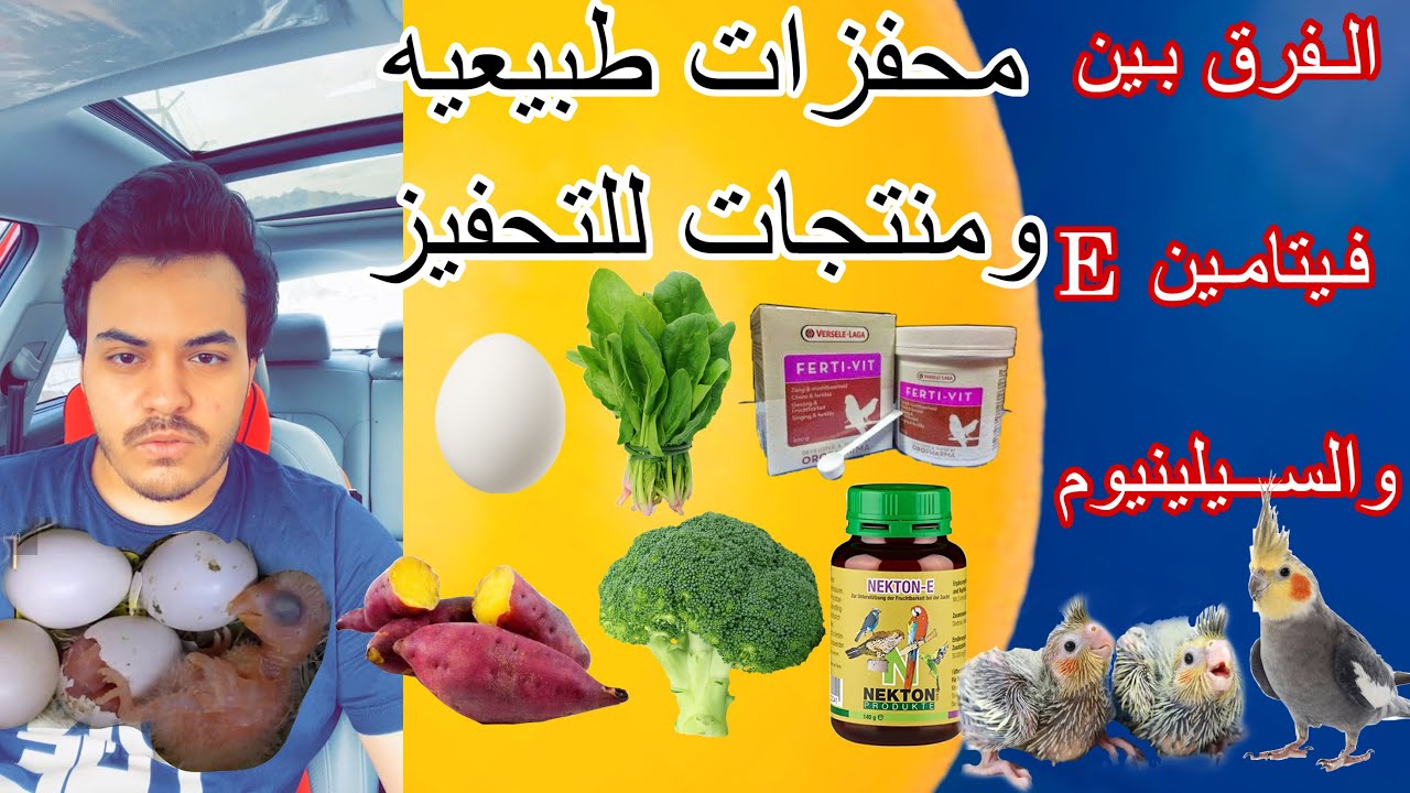 طرق تحفيز الطيور والببغاوات للانتاج