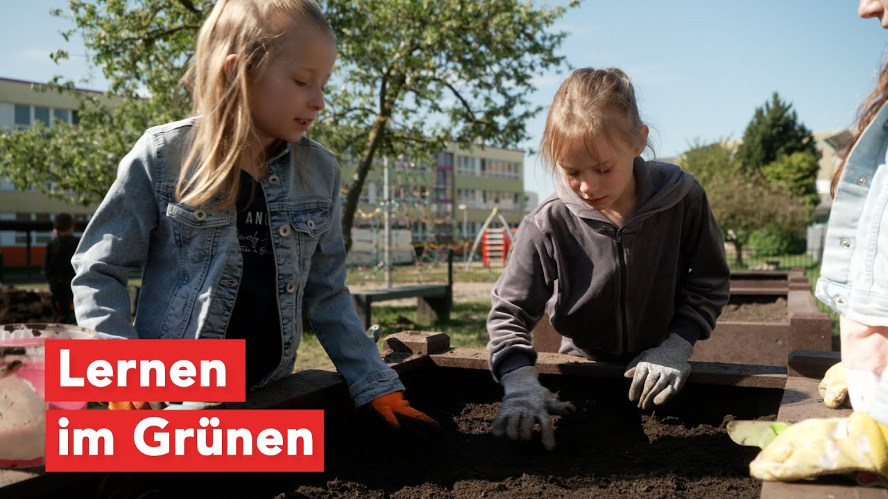 Grünes Klassenzimmer in Dorf Mecklenburg wird bepflanzt