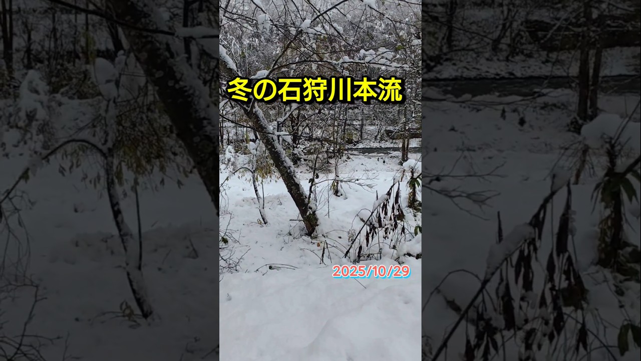 #北海道 の#石狩川 で#雪景色    　 のなか #アメマス が釣れました。