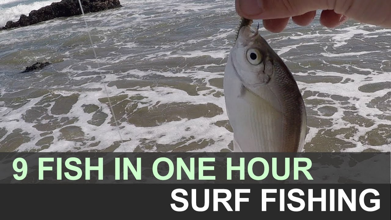 We got 9 Fish in one hour. Bodega Bay North Salmon Creek Surf Fishing