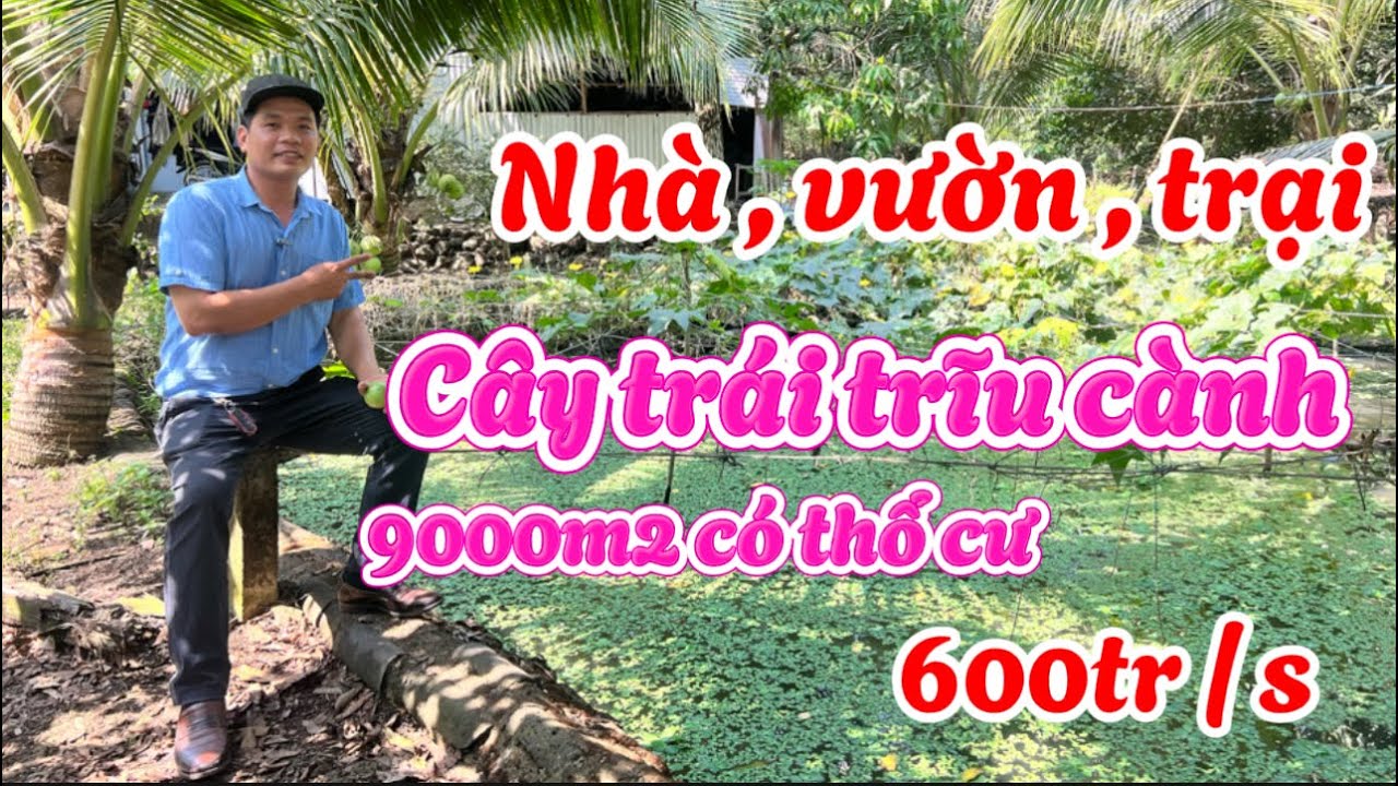 Nhà vườn đẹp mê. 9000m2 có cây trái , ao cá , chuồng trại. Có thổ cư xây dựng tự do.