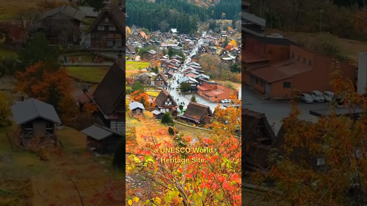 Gifu Travel Guide: Explore Shirakawa-go & More! 🏘️✨ #shorts  #travel #japaneseculture