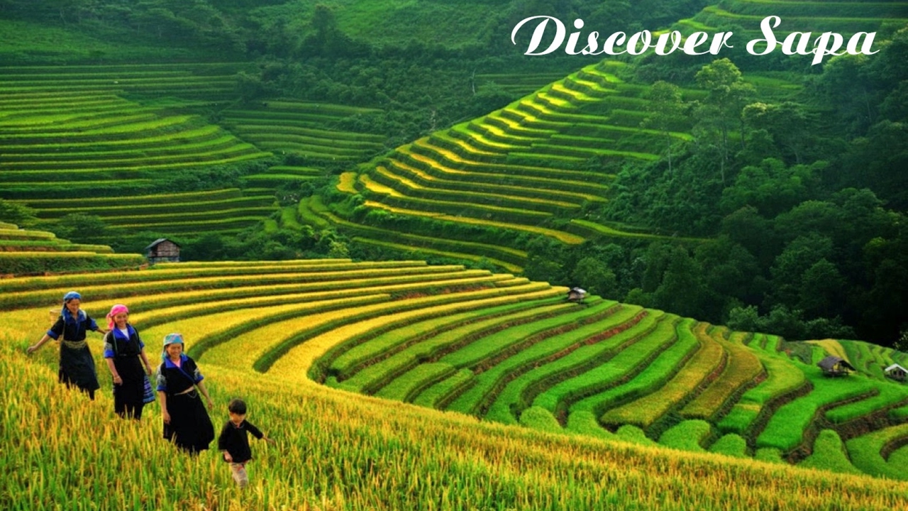 Sapa Tours