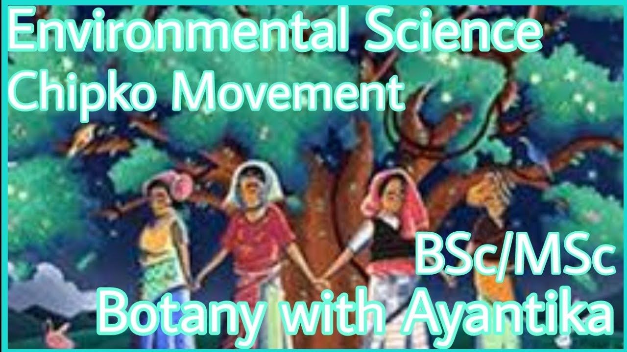 Chipko Movement 1973