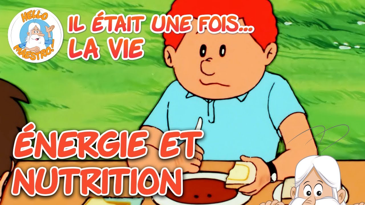 Énergie et nutrition | Compilation d'épisodes | Il était une fois... la Vie