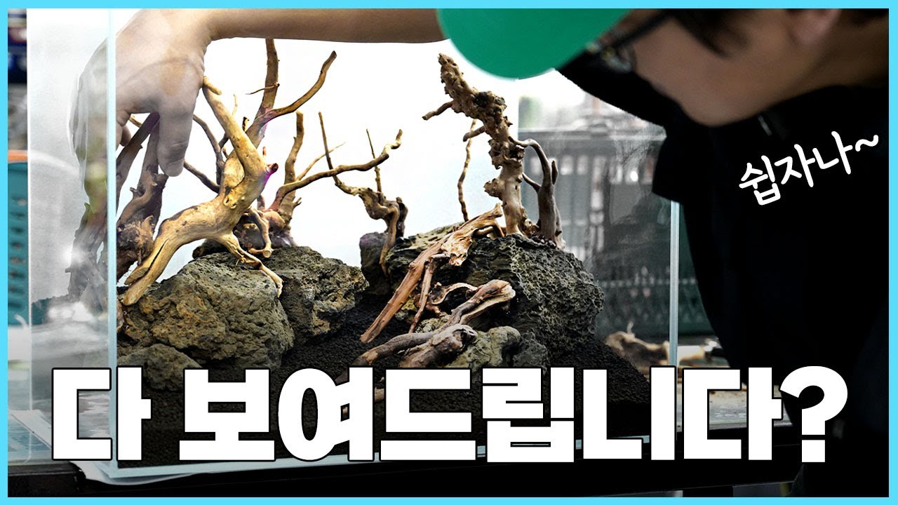 수초어항 세팅 처음부터 끝까지 - 숲 레이아웃