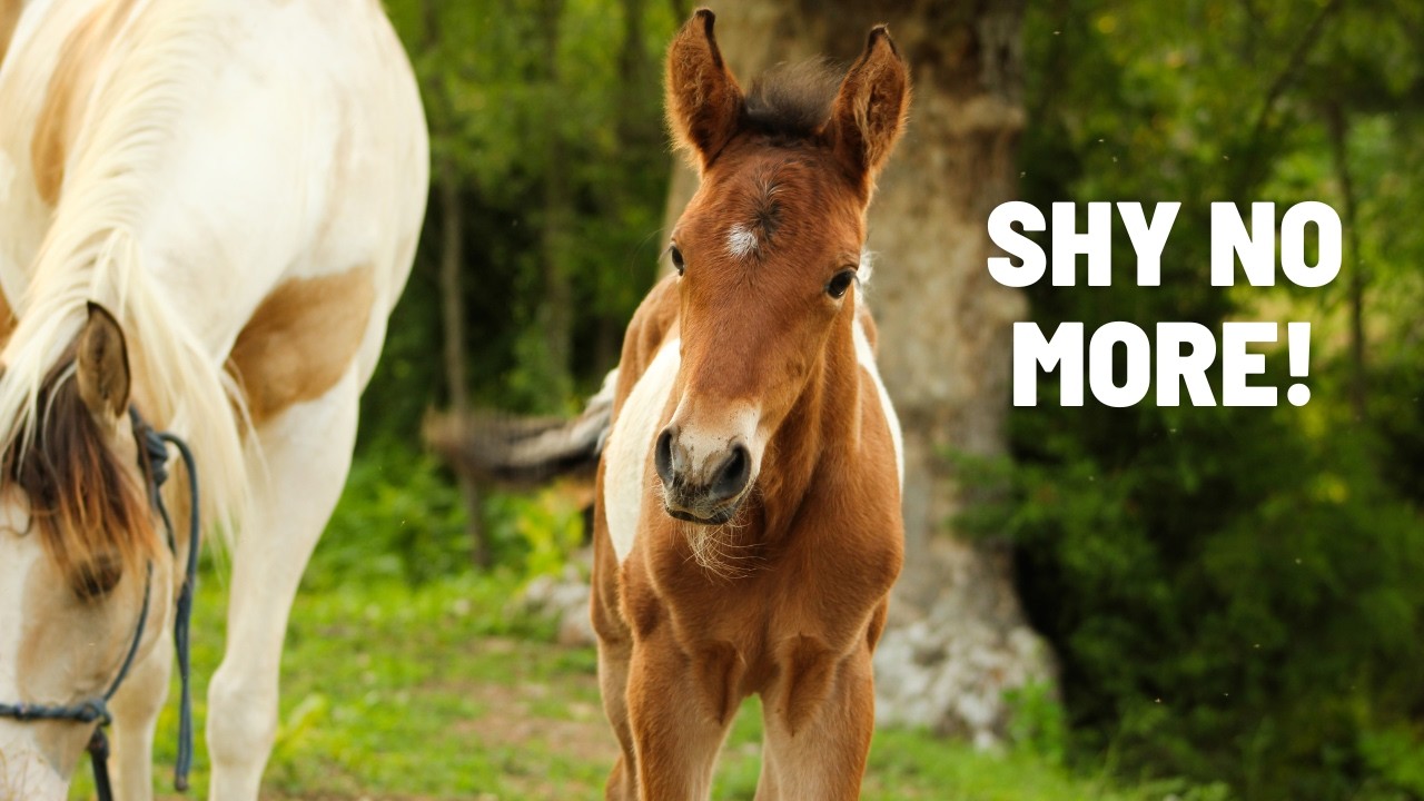 Our Baby Horse Completely Changed!