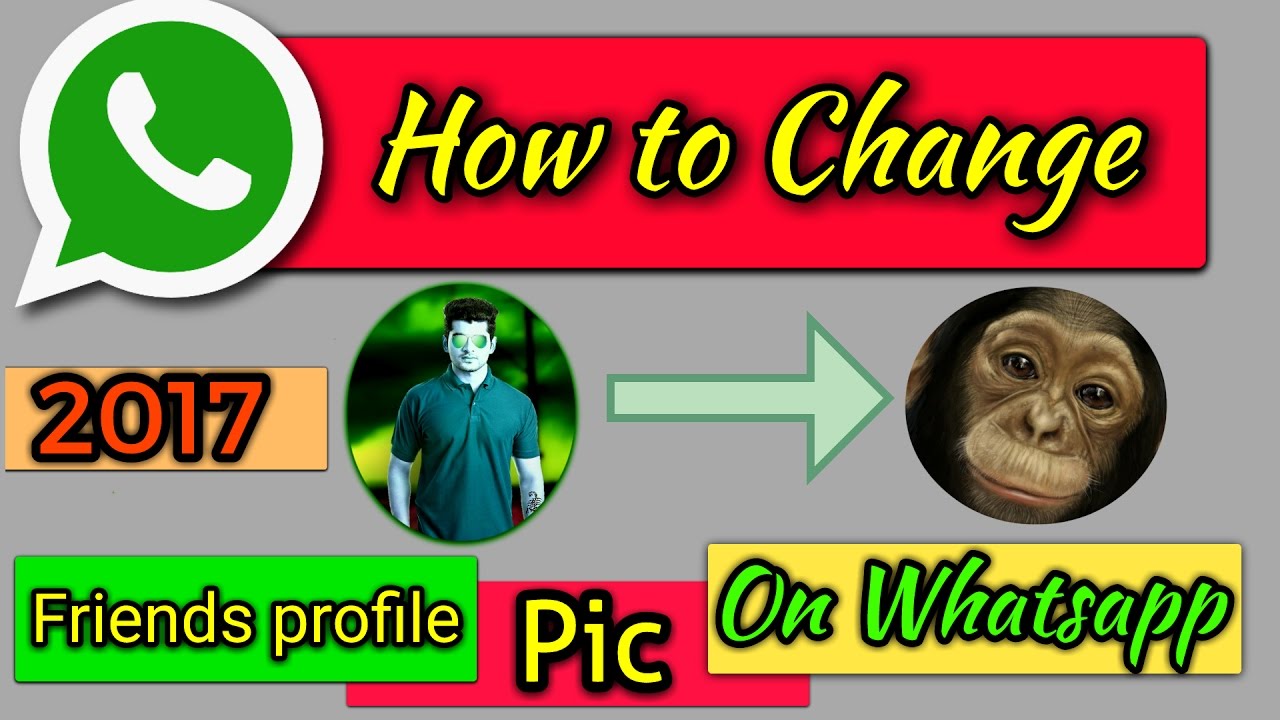 how to change friends whatsapp profile picture