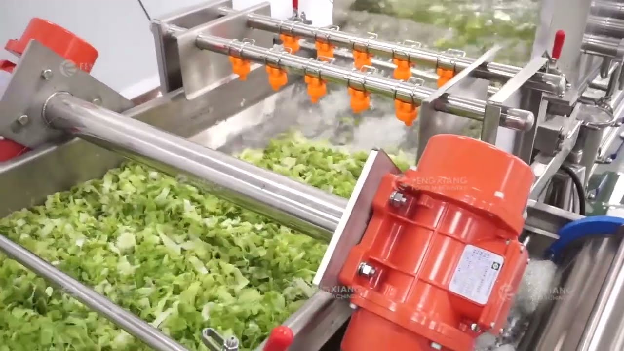 Salad Processing Line, Vegetables washing cutting Dehydrating Machine