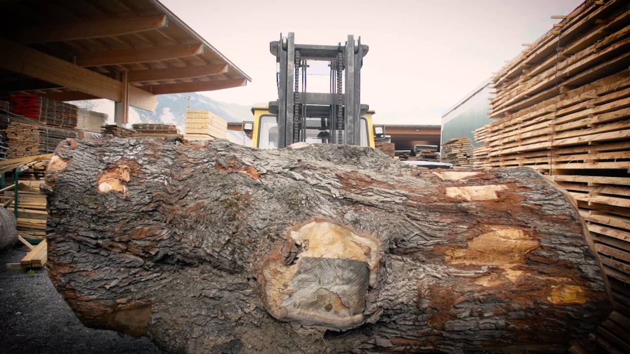 Holz Marberger - nat&uuml;rlich gewachsen