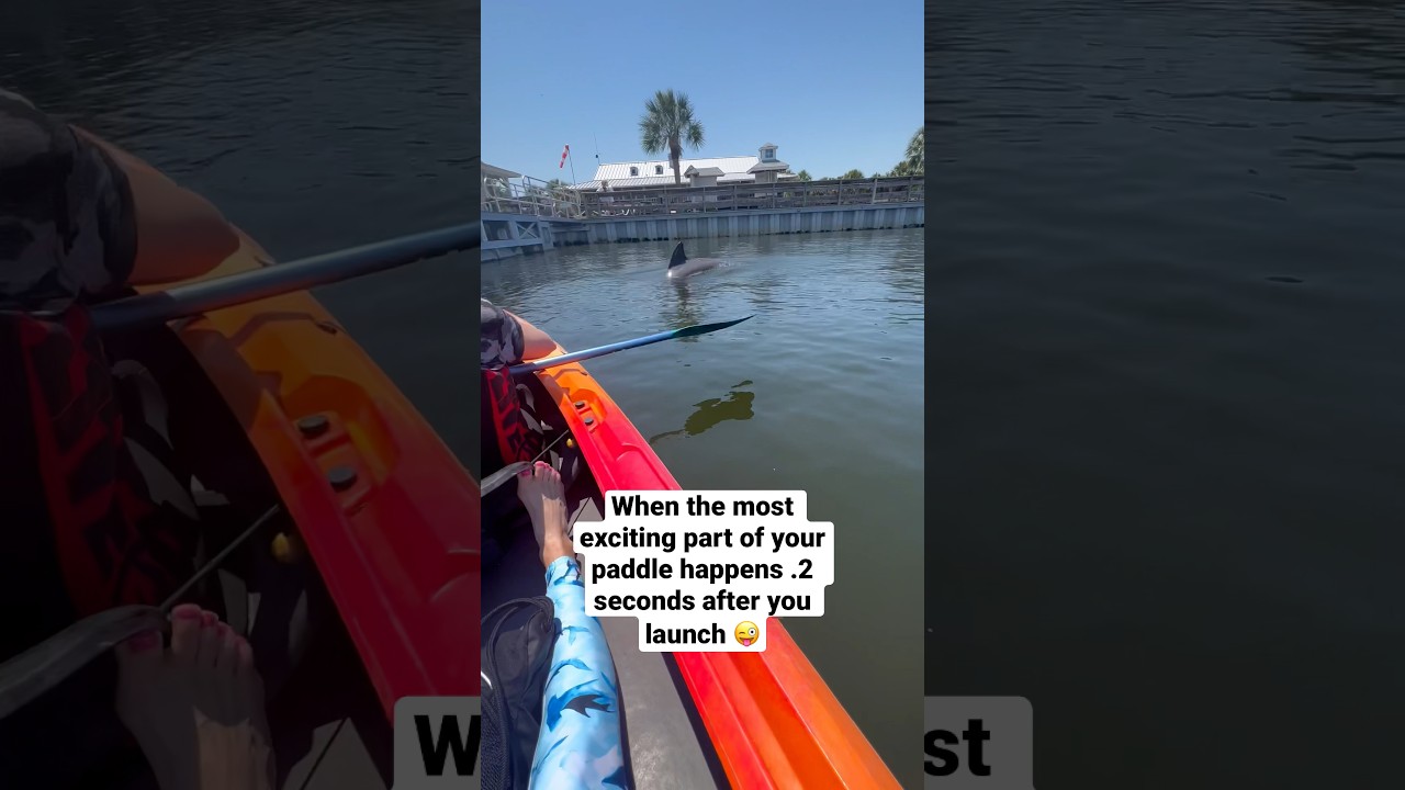PEAKED EARLY, but it was worth it 😜 Great #dolphin spotting! #CaladesiIsland 🐬 #Kayaking #Florida