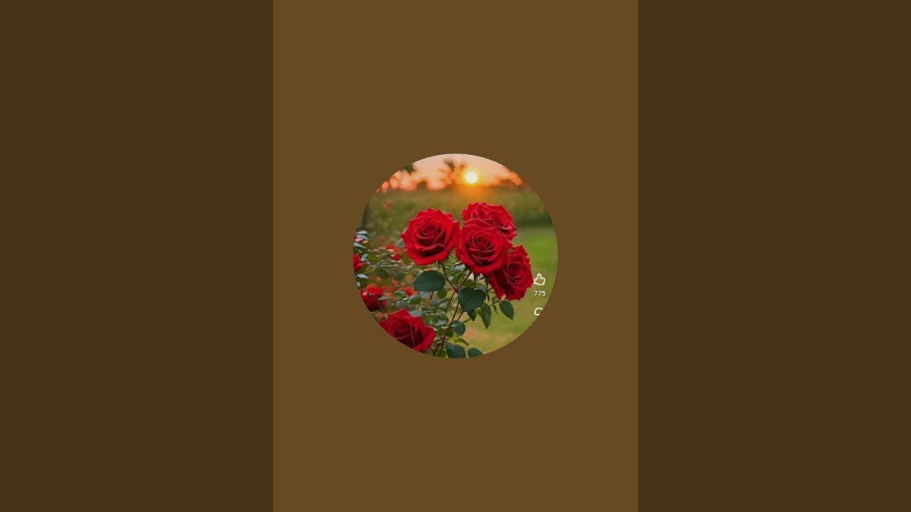 🥀🌹🙏🌺💐 is live