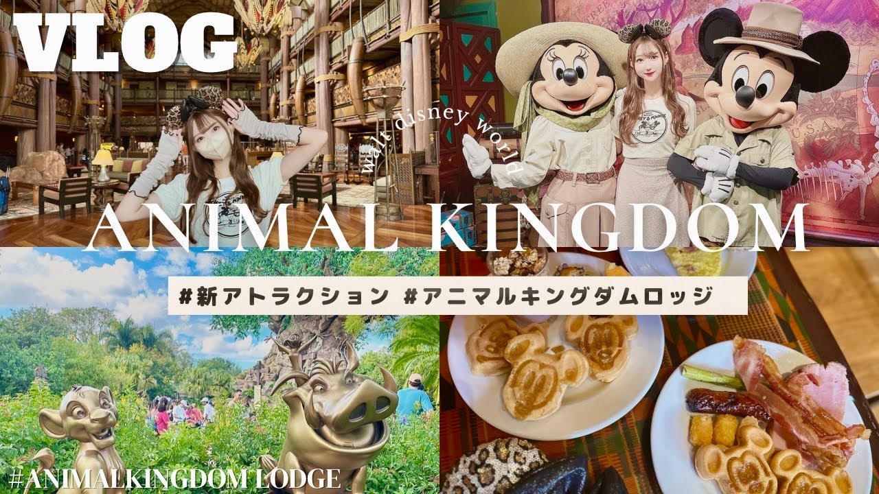 【アニマルキングダム最高】ディズニーワールド旅行！アニマルキングダムロッジの朝食ビュッフェ& アバター「パンドラ」&ミニミニペアグリ！animalkingdom