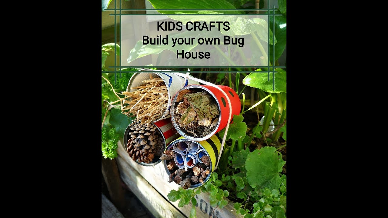 Kids Crafts: Make your very own Bug House