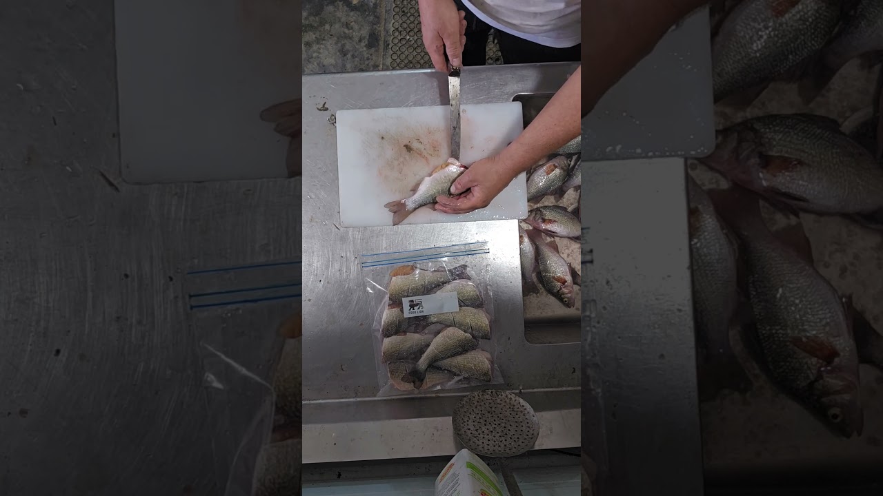 How to clean a white perch #outdoors #whiteperch