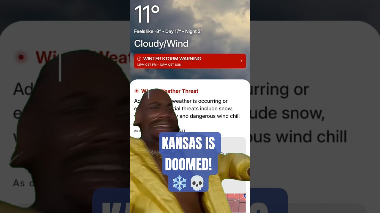 #Wichita Winter Storm Panic Mode ❄️💀 #shorts