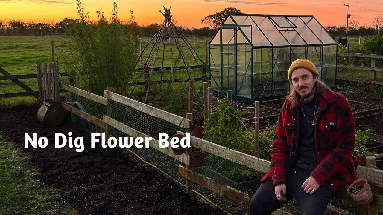 Starting a New No Dig Flower Bed to Attract Beneficial Insects and Pollinators.