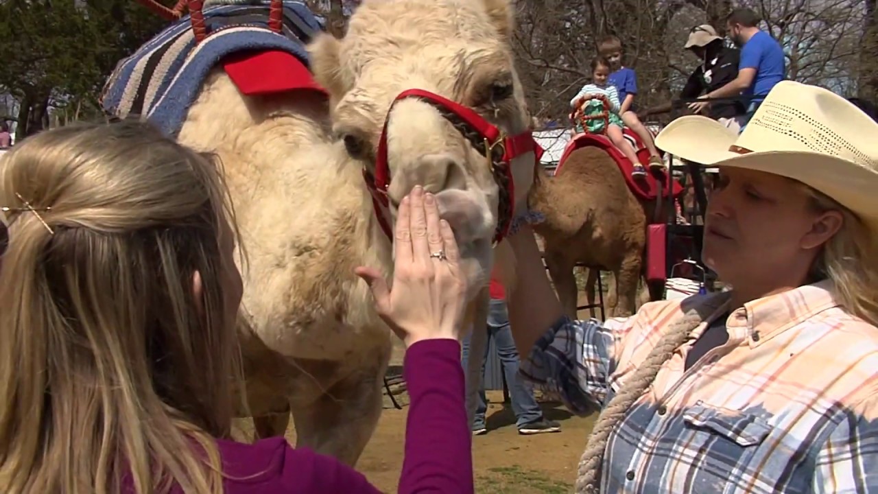 New Exhibits at the Oklahoma City Zoo