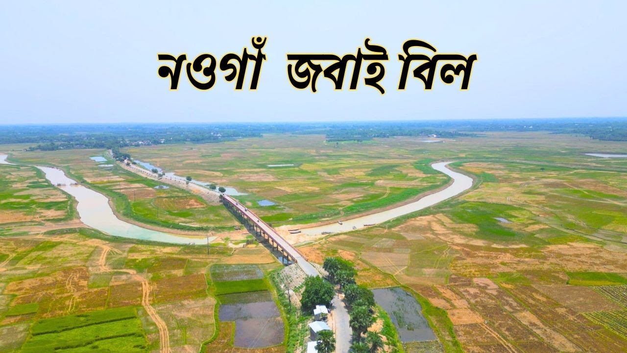 নওগাঁ  জবাই বিল || Naogaon Jobai Bil