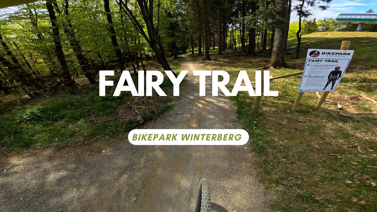 Fairy Trail Flow Line Winterberg Bikepark Level Blue ganze Strecke POV RAW