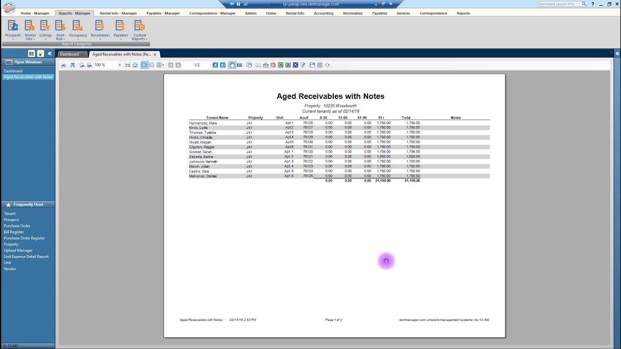 Reports in Rent Manager 12