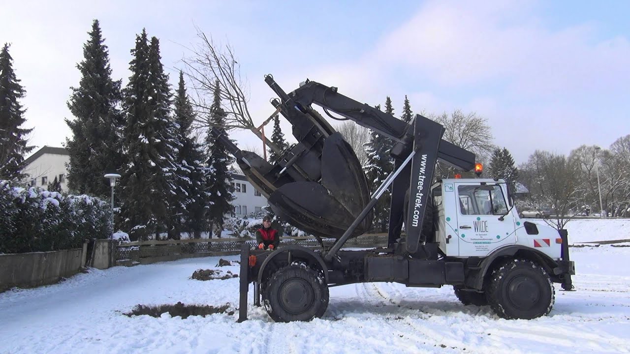 Cornel Wilde GmbH - Votre expert en replantation des grands arbres - ZW2000