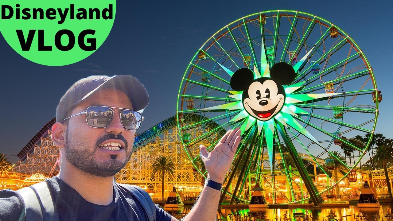 DISNEYLAND KA HINDI VLOG Part-2/ DISNEYLAND VLOG