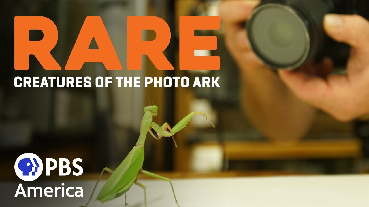 Rare: Creatures of the Photo Ark - Episode 3 (2017) | Full Documentary