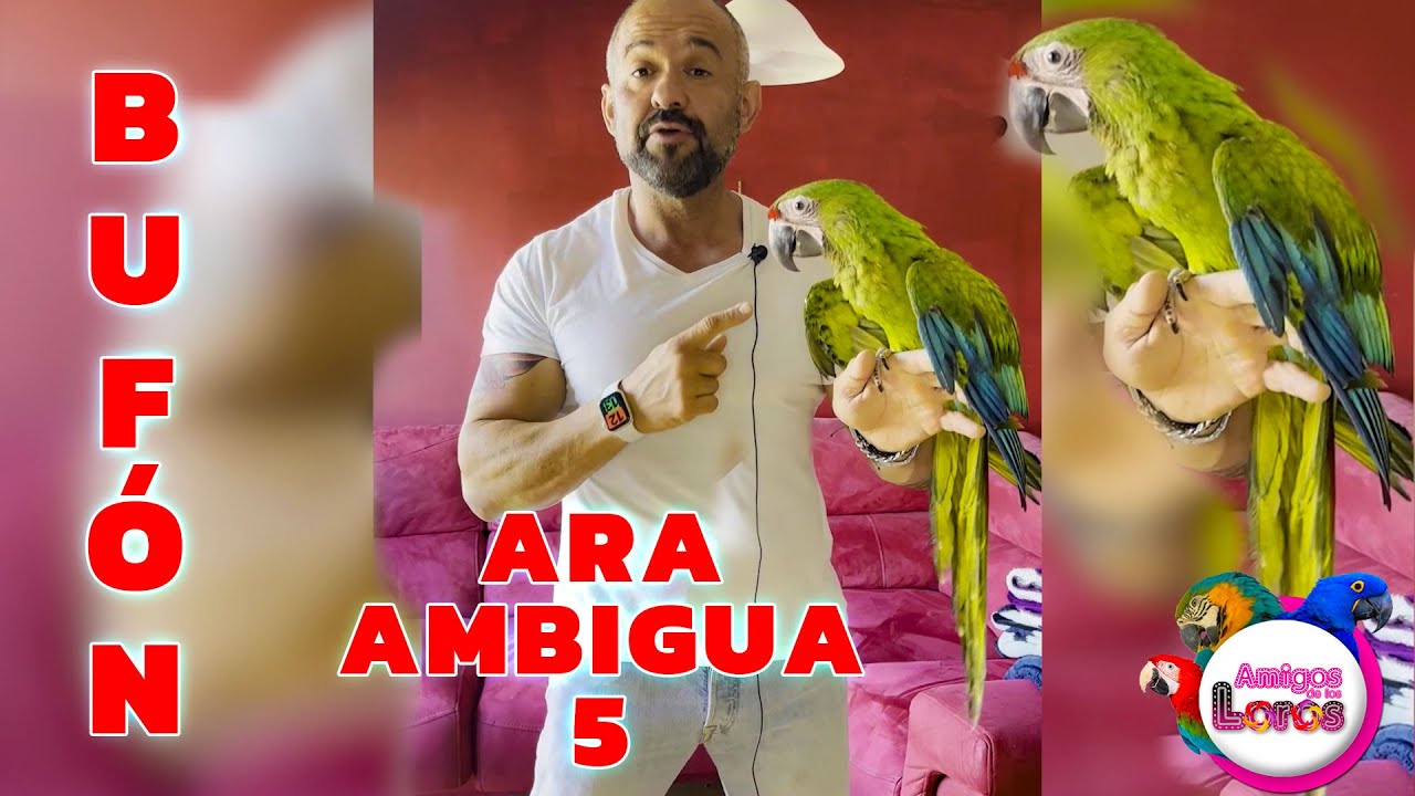 Vuelta VACACIONES, ARA AMBIGUA ha crecido X2