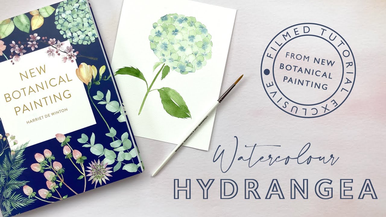 How to Paint a Watercolour Hydrangea