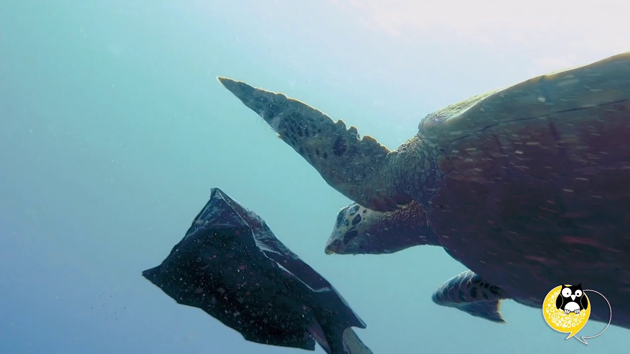 Trailer - Microplastiche: la minaccia delle particelle sintetiche