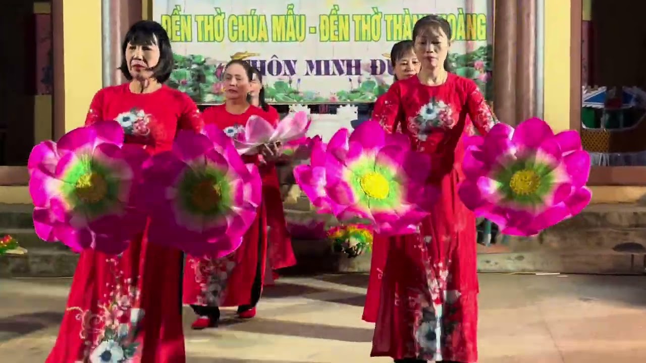 Lễ hội 