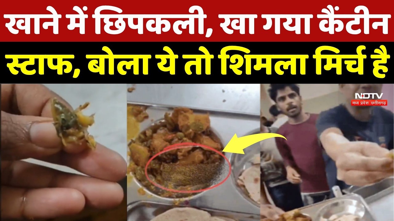 Lizard in food at RGPV University, Bhopal; canteen staff ate it, claiming it was actually a capsi...
