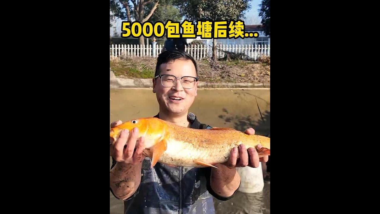 第一次包鱼塘后续… #关爱孤寡老人 #包鱼塘 #捉鱼 #三农