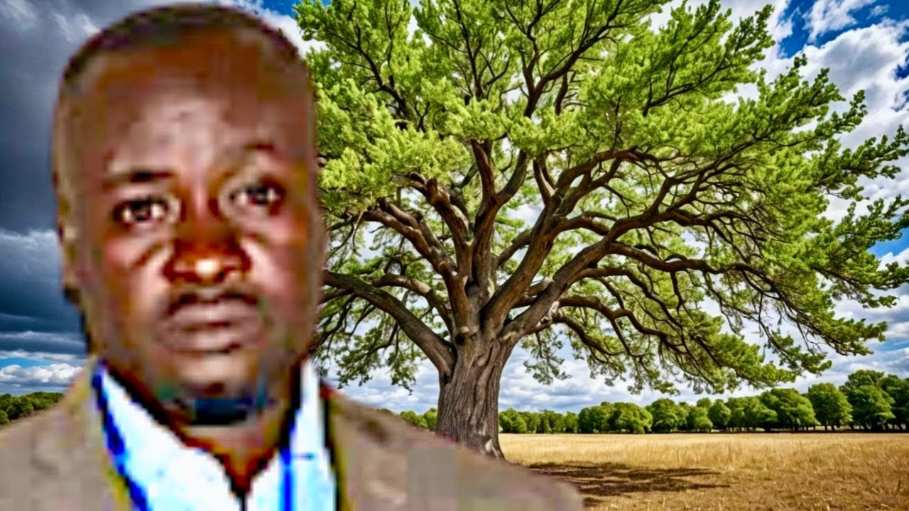 L'ESPÉRENCE DE L'ARBRE par Dr Guylain Kungi
