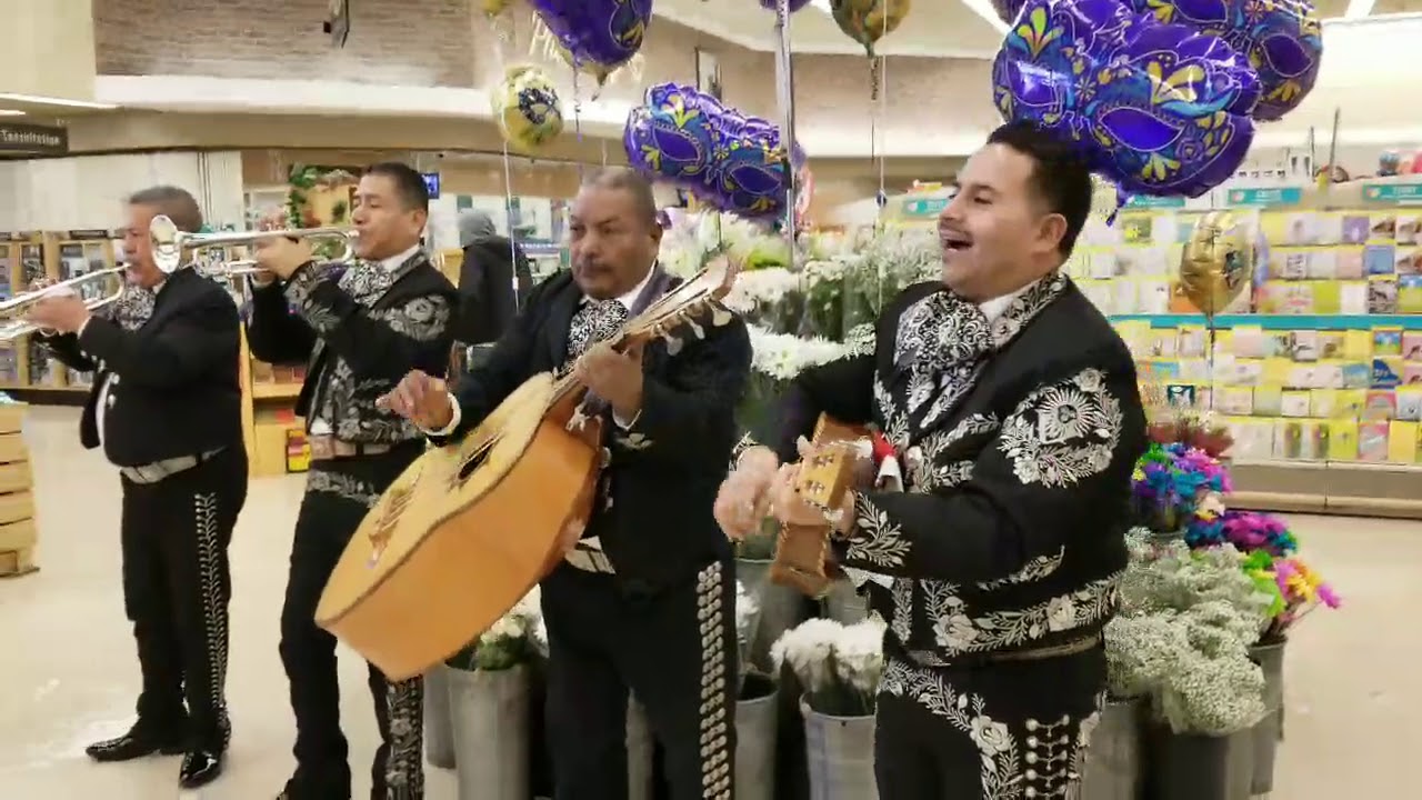 La Bamba by Mariachi Mexico Vivo De Pilsen